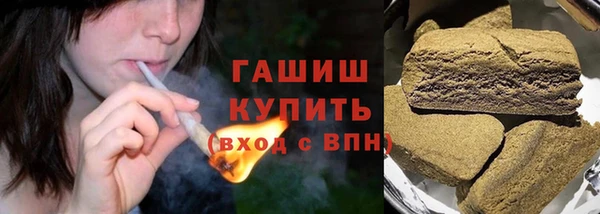 индика Бронницы