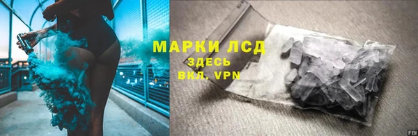 трава Верея