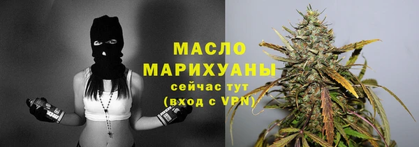 индика Бронницы