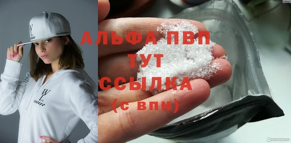 индика Бронницы