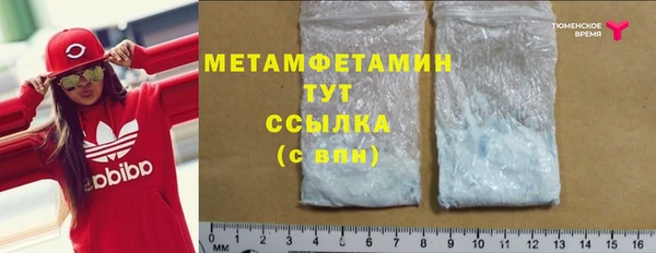 индика Бронницы