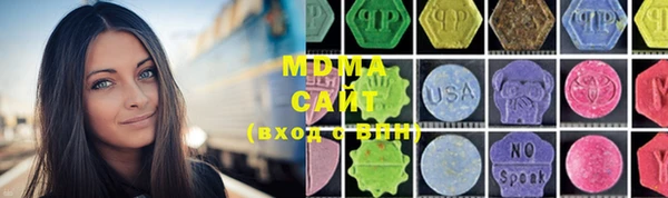 индика Бронницы