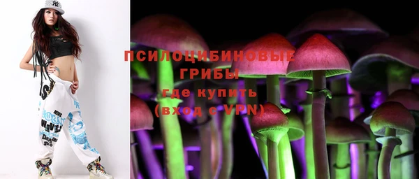 индика Бронницы