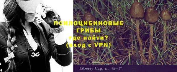 мдпв Верхний Тагил