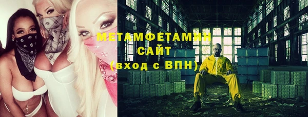 индика Бронницы