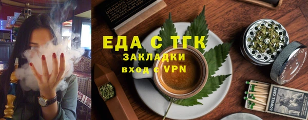 индика Бронницы