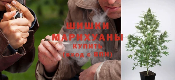 трава Верея